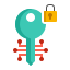 Private Key icon
