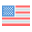 United States Flag icon