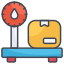 poids de la cargaison icon