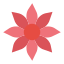 Amaryllis icon