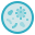 Petri disk icon