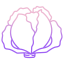 cabbage icon