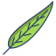 Gum Tree Leaf icon