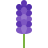 lavanda icon