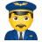 Pilot Career