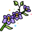 Orchidea icon