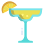 lime juice icon