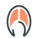pastel color style fish steak icon