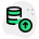 Online company database files uploaded on system icon