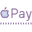 cute color style apple pay icon