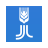 表現 icon