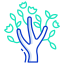 magnolie icon