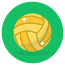 Voleibol icon