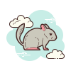 Chinchilla icon