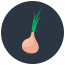 Garlic icon