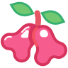 externe-Rose-Pomme-fruit-goofy-flat-kerismaker icon