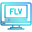 Flv icon