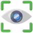 Eye Recognition icon