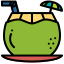 bevanda al cocco icon