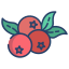 blueberry icon