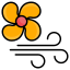 air icon