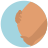 infographic style pregnant icon