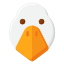 鸭 icon