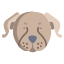 犬 icon