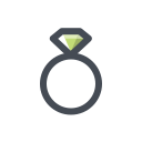 Diamond Ring icon