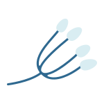 branch icon