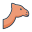 camel icon