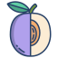 pennacchio-esterno-frutta-e-verdura-icongeek26-colore-lineare-icongeek26 icon