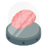 Cerveau icon