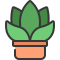 external-gasteria-plants-and-flowers-soft-fill-soft-fill-juicy-fish-3 icon