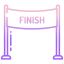 finish line icon