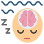 뇌 icon