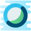 Cisco Webex Meetings icon