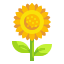 向日葵 icon