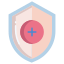 Shield icon