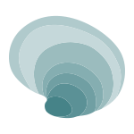 外部-Seashell-shells-objects-color-edt.graphics-9 icon