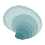 external seashell shells objects color edt.graphics 9 icon