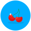 Cherries icon