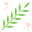 acacia icon