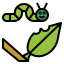 butterfly icon