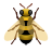 abelha icon