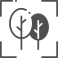 messa a fuoco icon