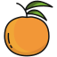 Оранжевый icon