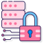 Data Security icon