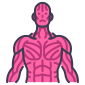 body icon