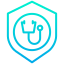 shield icon